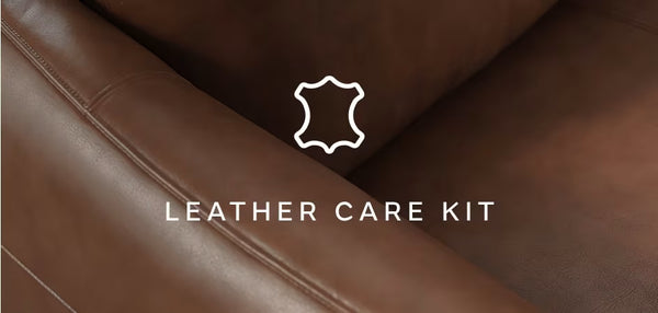 Leather care kit